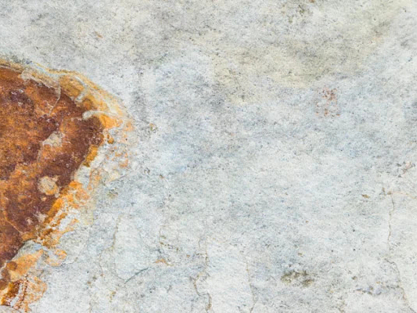 What Ponte Vedra Homeowners Should Know About Rust Stains