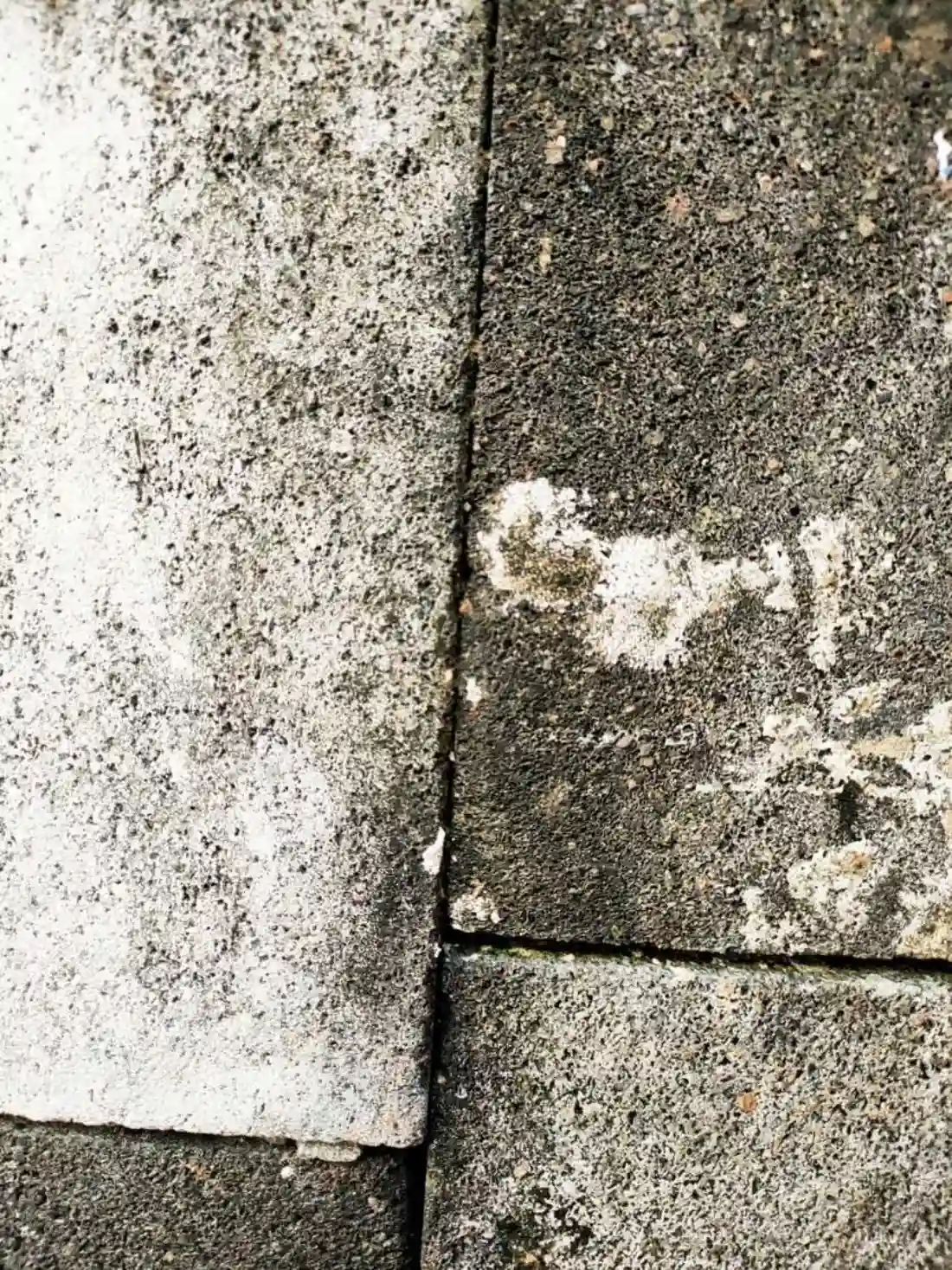 What to do About Stubborn Driveway Stains in Jacksonville Homes